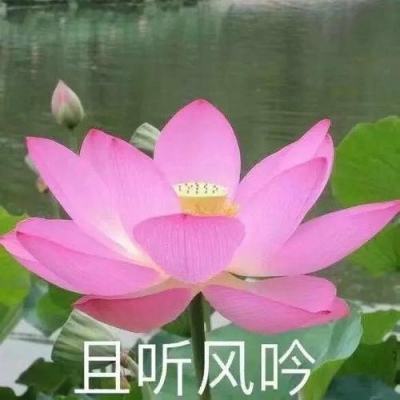 福建漳州举行漳台青少年中医药文化科普公益活动